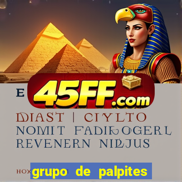 grupo de palpites de futebol whatsapp